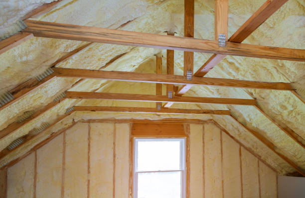 Best Wall Insulation Contractor  in Carlyle, IL