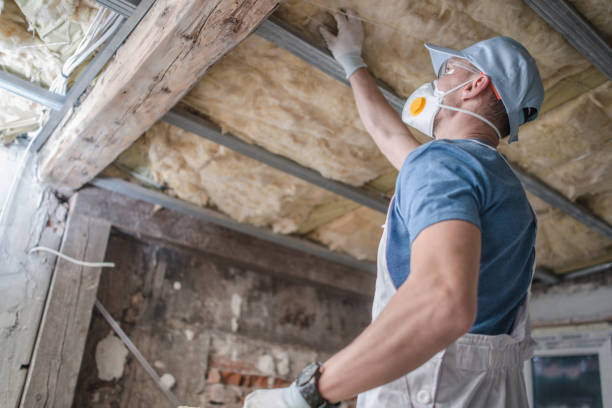 Best Garage Insulation Installation  in Carlyle, IL